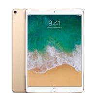 APPLE iPad 2017 9.7" obnovljen 128GB razred B Wi-Fi zlatni